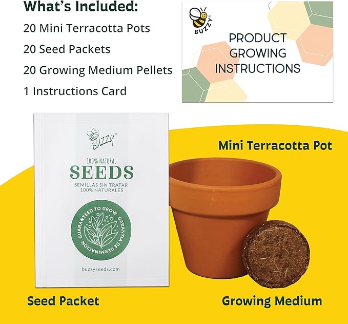 BUZZY Seeds Forget Me Not Flower Grow Kit Bulk 20pk Mini Terracotta Pots Gardening Starter Set, Wedding Favors, Shower Prizes, Garden Parties