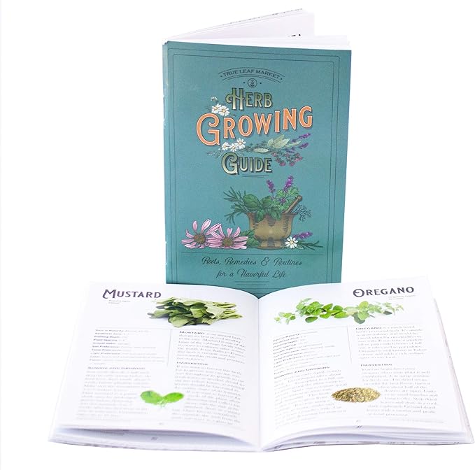 10 Varieties, Herbs de Provence Herb Seed Collection - French Culinary Herb Seeds - Non-GMO Heirloom Seeds by Sustainable Seed Company (Collection Only)