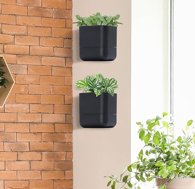Phoenix Vine 6.5-Inch Wall Mounted Self-Watering Planter Pot for Indoor Houseplants and Herbs | Modern Hanging Planter for Window Sills, Bathroom Walls, Home & Office Décor, Black, Set of 3, 01-WP-B-3