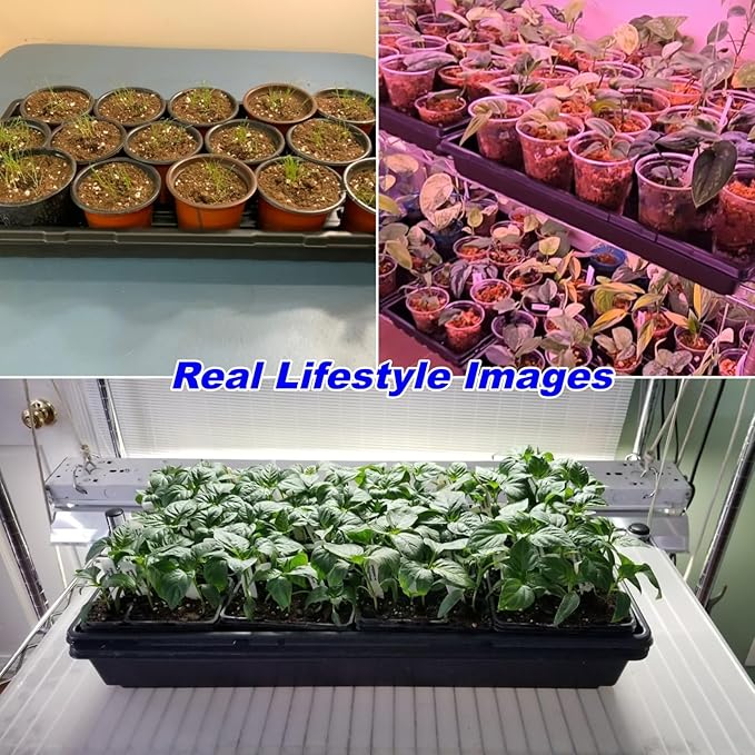 10-Pack Heavy-Duty 1020 Seed Trays – Durable, Extra-Thick Plastic Flats for Seed Starting, Microgreens & Transplanting – Fits 7.3'' Humidity Dome and 4'' Planter (21" x 11", 2.76" Deep, No Drain Hole)