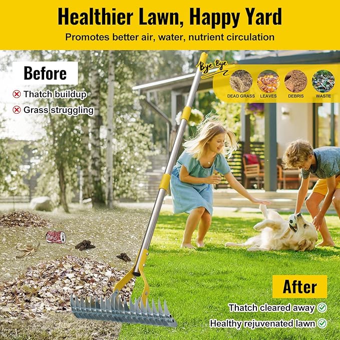 Garden Leaf Rake: Dual Function Thatching Rake for Lawn Dead Grass Leaves, Stainless Steel Heavy Duty 69” Lawn Dethatcher with Sharp 19 Tines, Fast Weeds, Leaf, Thatch, Dead Grass Removal Garden Tool
