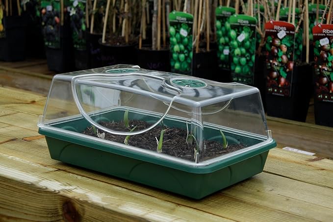 EarlyGrow Medium Seed and Herb Domed Propagator with Vented Side Height Extension and Security Clip Set,Green