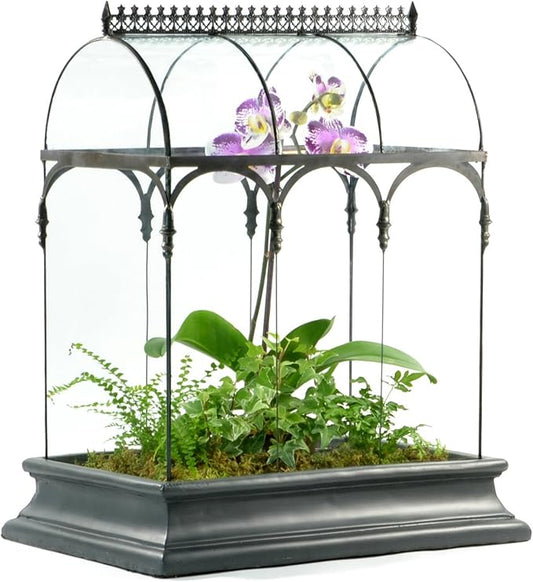 Terrarium Large Glass Succulent Planter Wardian Case Container for Plants from H Potter WAR150