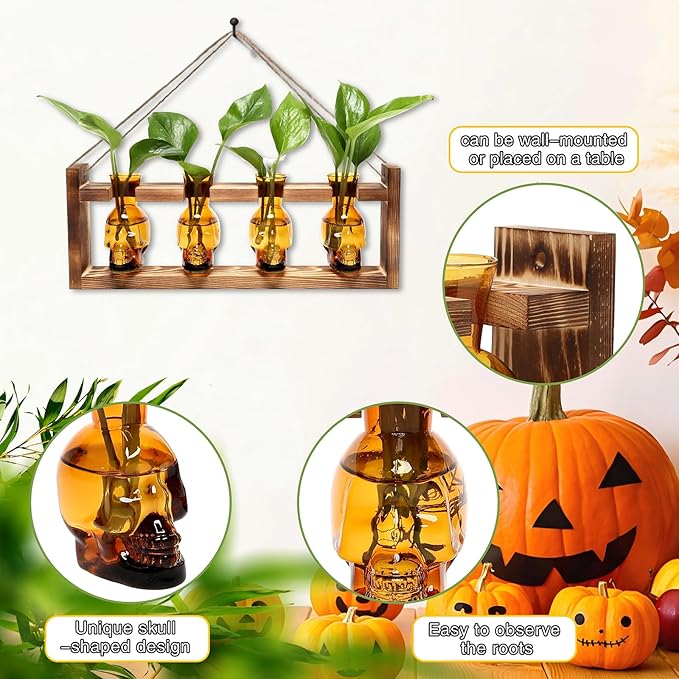 Plant Propagation Stations Halloween Skull Plant Terrarium Kit Glass Vases Gift for Father Air Planter Home Office Decor