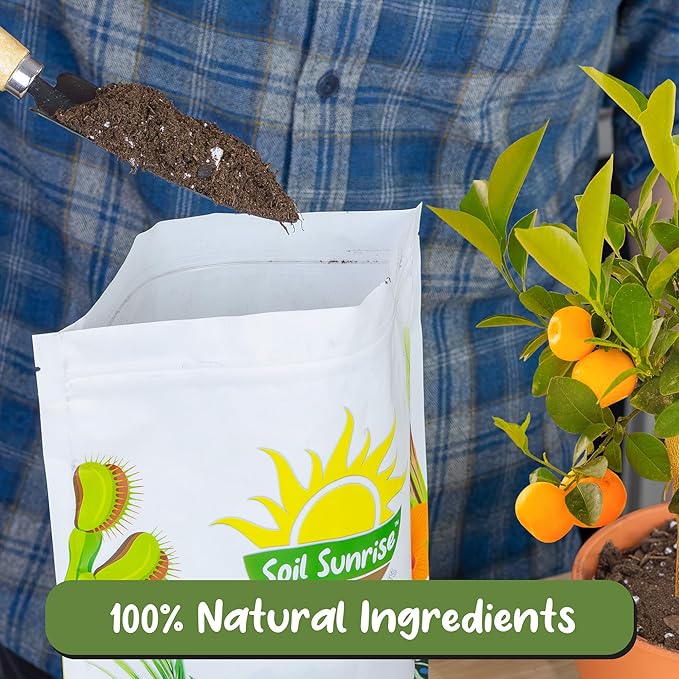 Soil Sunrise Citrus Tree Potting Soil Mix (8 Quarts) Special Blend for Indoor Oranges, Lemons, Limes and More