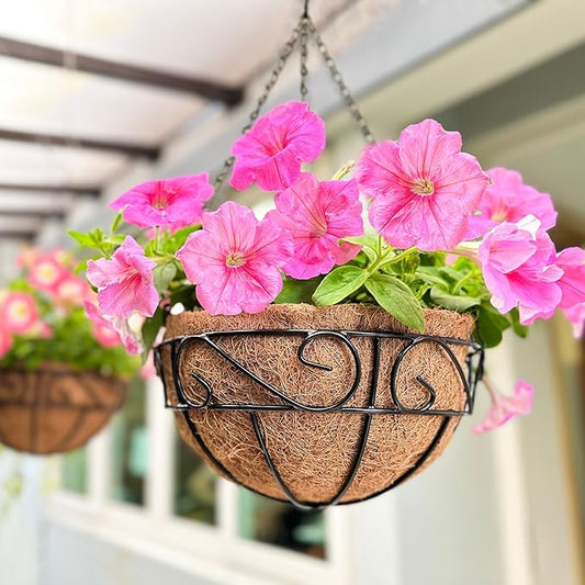 LaLaGreen Hanging Planter for Outdoor Plants (10 Inch, 6 Pack) Hanging Baskets with Coco Liner, Black Metal Wire Flower Basket Pots with Hook Hanger Balcony Porch Farmhouse Country Style Garden Decor