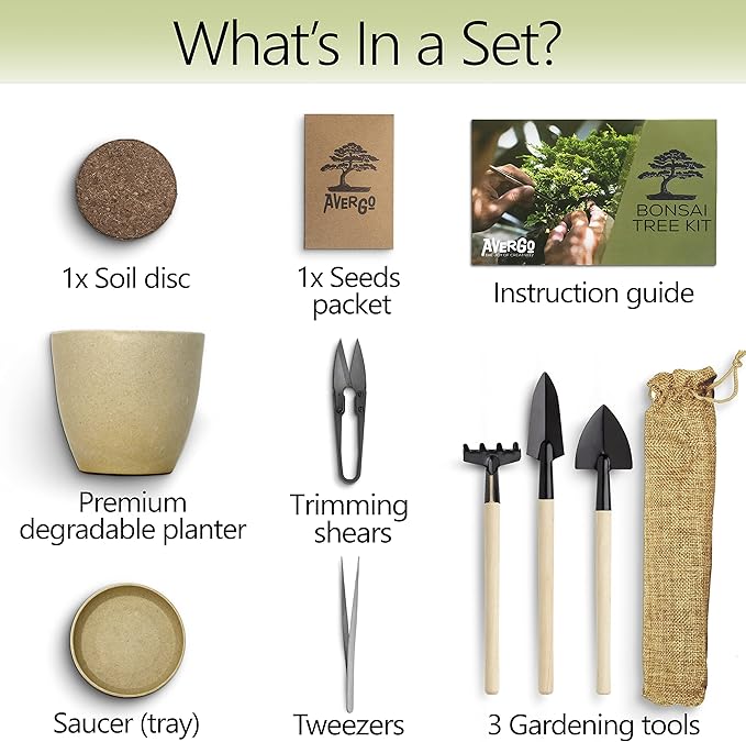 Bonsai Starter Kit – Growing Jacaranda Bonzai Tree | Complete Indoor Tree Kit for Growing Plants with Tools & Planter – Gardening Gifts for Mother, Women & Men