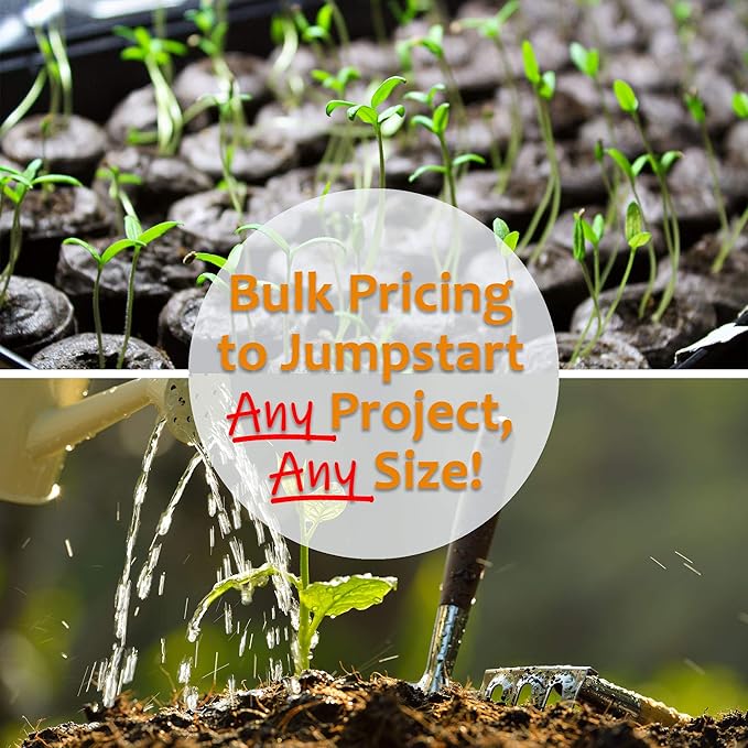 5 Lb Bulk Non-GMO Arugula Vegetable Seeds for Outdoor Garden and Indoor Salad Microgreens - Mountain Valley Seed Company Arugula Microgreens Seeds for Micro Greens Seed Kit and Micro Greens Seed Mix