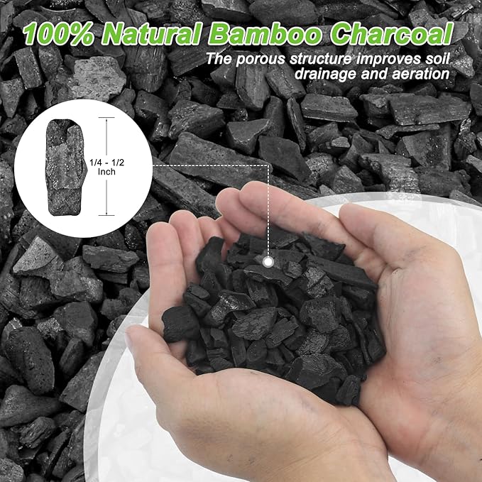 3 Quarts Horticultural Charcoal for Indoor Plants-Hardwood Potting Soil Amendment for Orchids, Succulent, Cactus, Terrariums, and Gardening