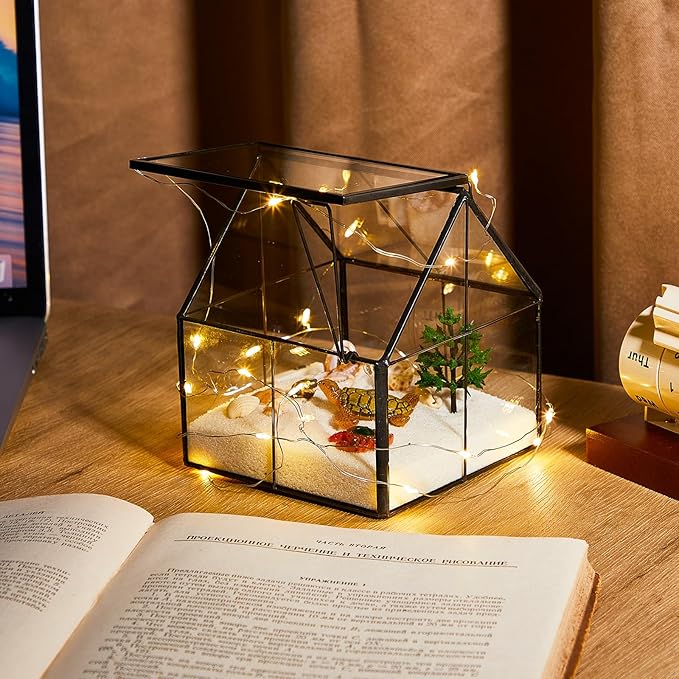 Set of 2 Mini Glass Terrarium Planter with Lid, Small Greenhouse Terrarium Jar, Glass Container Pot, Tabletop Succulent Small Cacti Air Plant Planter for Indoor Home Garden Office Decor