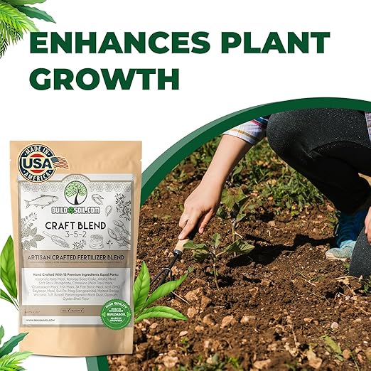 BuildASoil Fertilizer for Vegetable Garden and Organic Plant Food | Hand-Crafted Organic Fertilizer with 15 Premium Ingredients | Ensures Larger Plants and More Fragrant Flowers (10 LB - Medium Bag)
