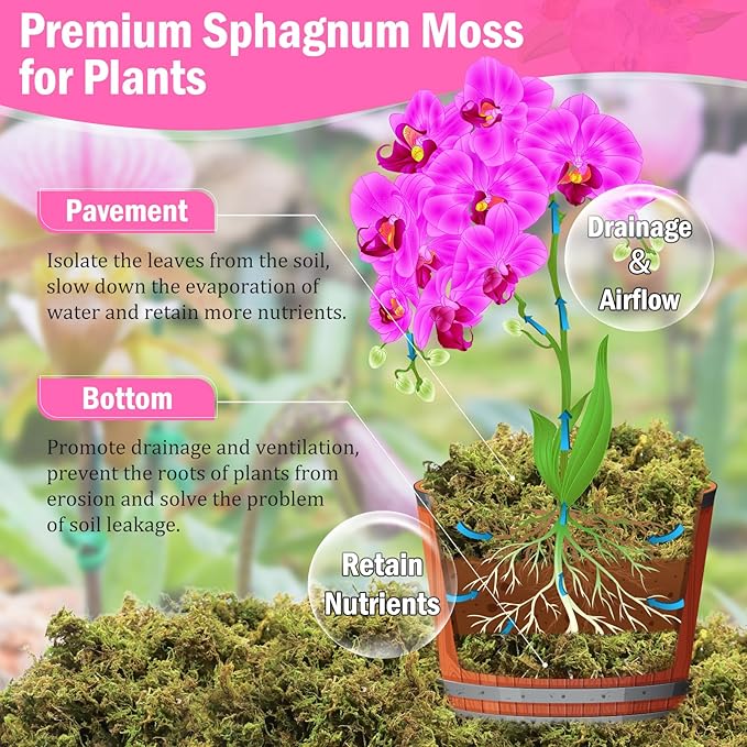 Riare 4.4LBS Premium Sphagnum Moss for Plants- 80QT Natural Dried Plant Moss for Potted Plants, Orchid Moss for Repotting, Soft Green Decorative Moss for Succulents, Reptiles & DIY Crafts