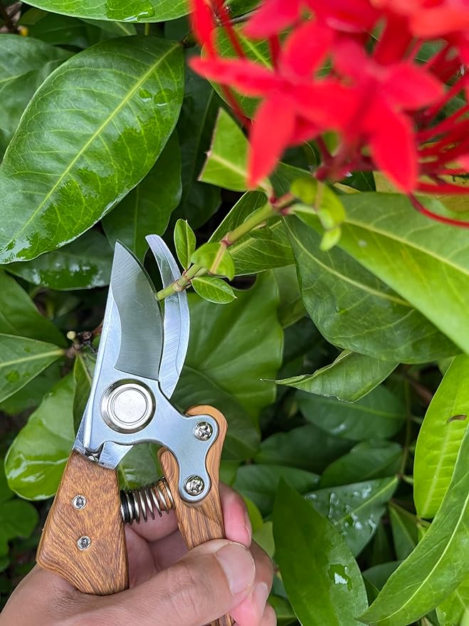 Pruning Shears, Flower Cutters for Stems, German Stainless Steel Blades, 1 inch Cut Capacity, Garden Snips with Non-Slip Handle, Lightweight & Ergonomic Professional Garden Tools for women