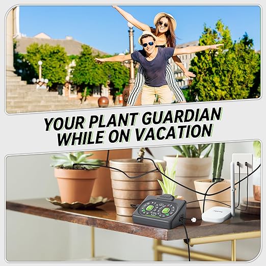 RAINPOINT Smart Automatic Watering System Pot Plants,Dual Powered,Local Control & Remote WiFi/App Control, Solar Drip Irrigation for Indoor Balcony Grow Tent Low Water Auto Shut-Off Water 10-15 Plants