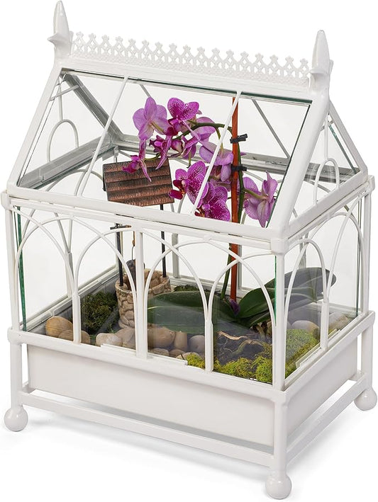 H Potter Glass Terrarium Succulent Planter Wardian Case Plant Container Metal Tabletop Off White