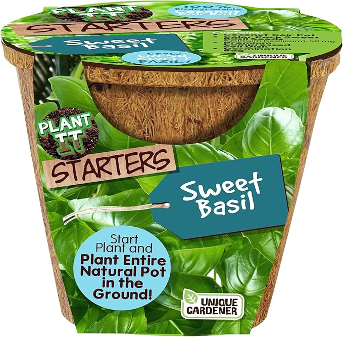 Plant-It Starters Plant Seeds 4-Pack, DIY Indoor Succulents and Live Plants for Home or Garden Planting, Sweet Basil
