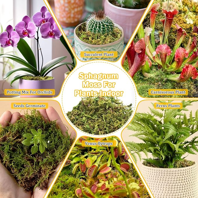 Riare 1.3LBS Premium Sphagnum Moss for Plants- 25QT Natural Dried Plant Moss for Potted Plants, Orchid Moss for Repotting, Soft Green Decorative Moss for Succulents, Reptiles & DIY Crafts
