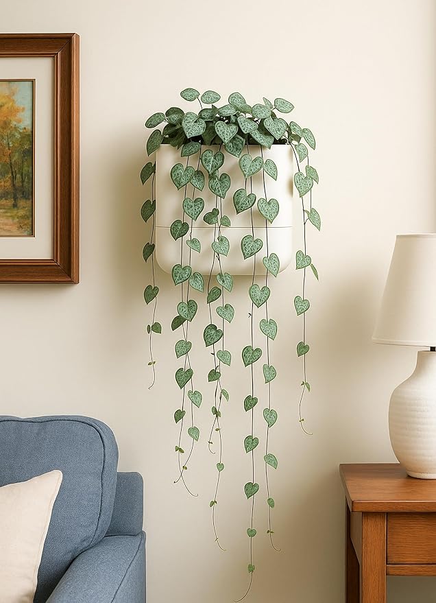 Phoenix Vine 6.5-Inch Wall Mounted Self-Watering Planter Pot for Indoor Houseplants and Herbs | Hanging Planter for Window Sills, Bathroom Walls, Home & Office Décor, Oatmeal, Set of 1, 01-WP-D-1