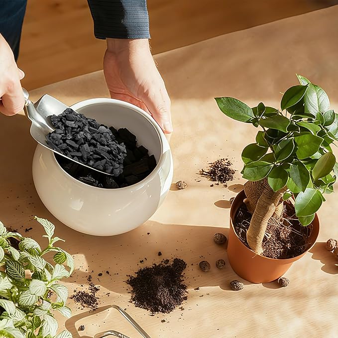 18 Quarts Horticultural Charcoal for Plants-Plant Charcoal Soil Amendment for Potting Soil Indoor Plants, Succulent Soil, Paphiopedilum, Bonsai, Terrarium,and Gardening