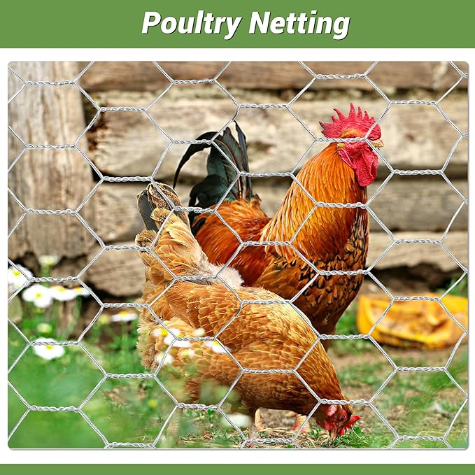 Chicken Wire Fencing Mesh, Galvanized Hexagonal Floral Chicken Wire, Outdoor Anti-Rust Chicken Wire Poultry Netting for Garden Fence (1.5 ft x 100 ft, Hot-Dipped)