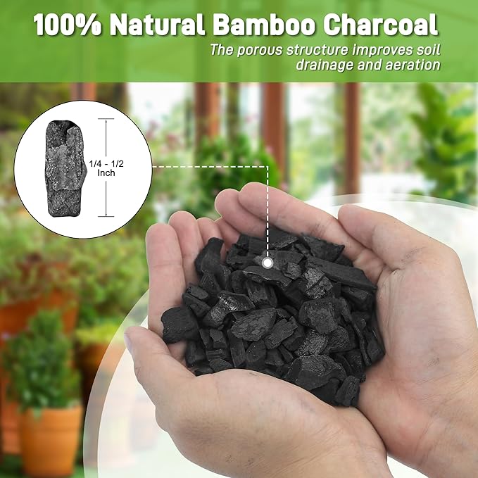 29 Quarts Horticultural Charcoal for Plants-Plant Charcoal Soil Amendment for Potting Soil Indoor Plants, Succulent Soil, Paphiopedilum, Bonsai, Terrarium,and Gardening