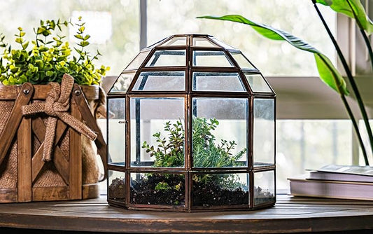 Urban Born Handmade Birdcage Style Glass Terrarium in Bronze — 10" x 9" x 9"