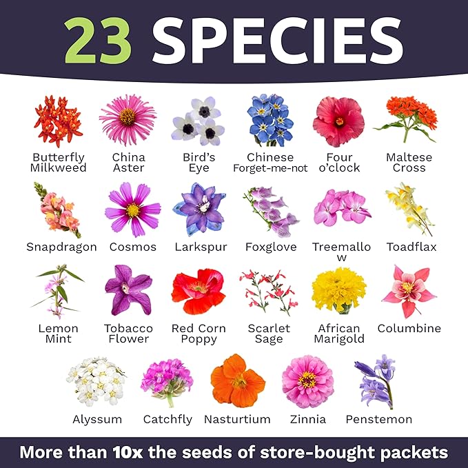 Bulk Wildflower Seeds Butterfly and Humming Bird Mix - 5 Pounds - Over 600,000 Open Pollinated Annual and Perennial Seeds