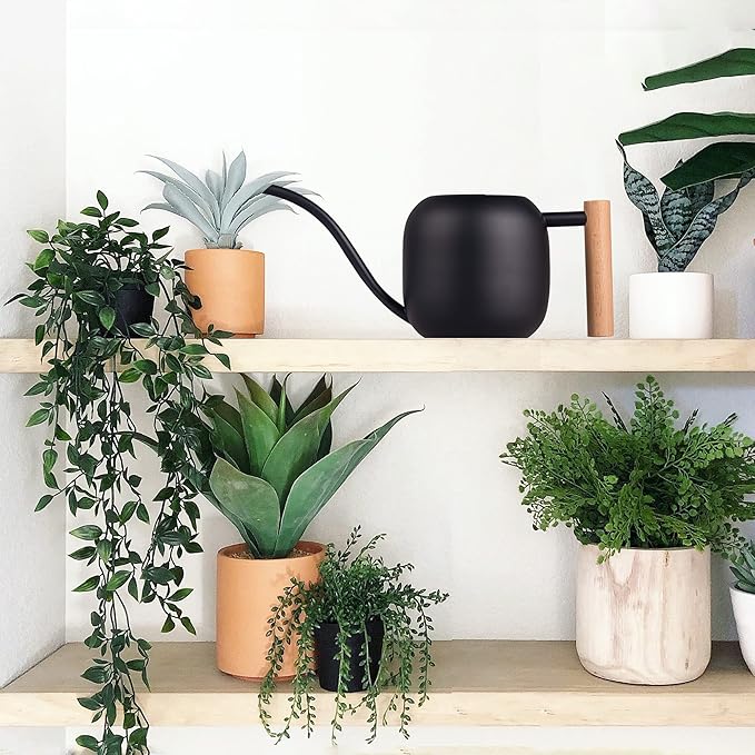 IMEEA Watering Can for Indoor Plants 40oz Stainless Steel Watering Can with Long Spout and Wooden Handle (Black)