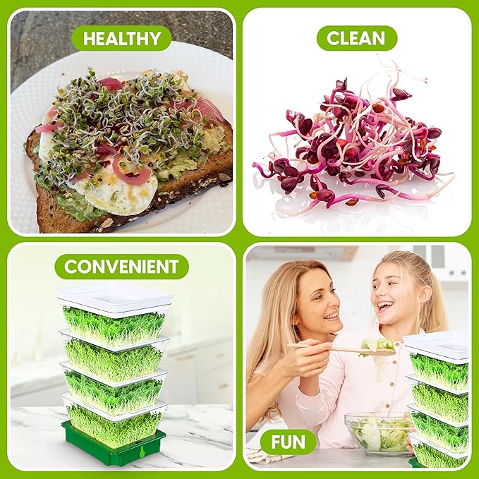 ZESTIGREENS 4-Tier Sprouting Kit with Drain Spout – Stackable Seed Sprouter Trays for Growing Fresh Sprouts at Home – BPA-Free, Easy Rinse & Drain System