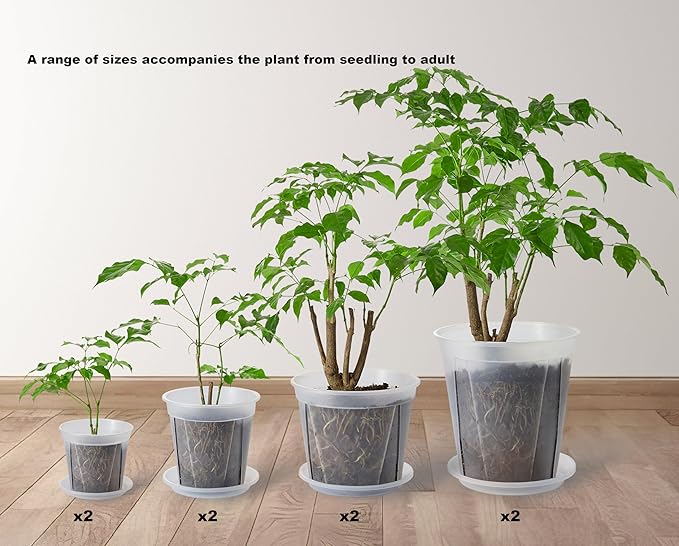 Large Clear pots for Plants, 8 pcs 5/6/7/8 inch Thick Plastic Nursery pots for Plants with Drainage Holes for Monstera Plant Live,Succulents etc - Indoor and Outdoor use