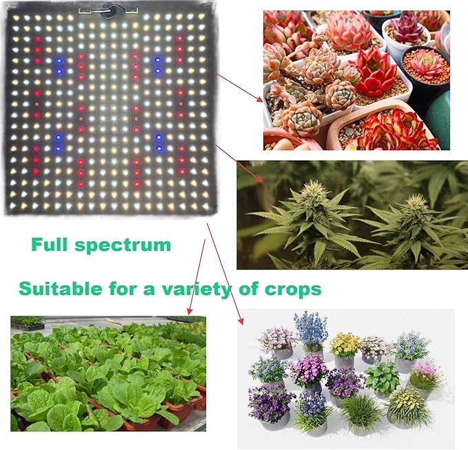LED Grow Light Panel for Indoor Plants 100W Full Spectrum with White Blue Red UV IR LEDs for 4x4ft Coverage Grow Tent Greenhouse Veg and Bloom Seedlings Hydroponic
