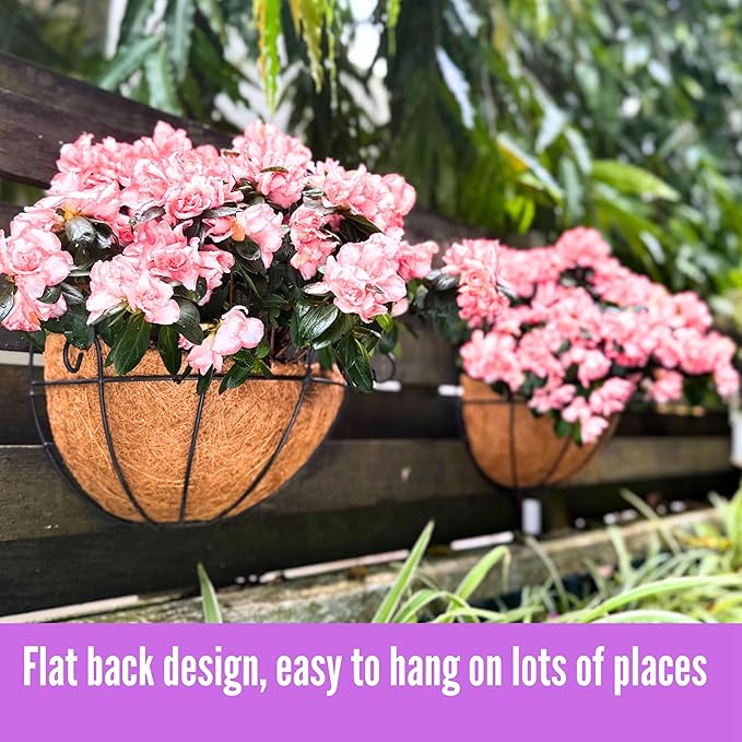 Shoplala Wall Planters Outdoor Plants (10 Inch, 6 Pack) Balcony Planters Railing Hanging Fence Planter Over Railing with Coco Liner, Wall Mounted Flower Basket Black Metal Wire Deck Porch Patio Garden