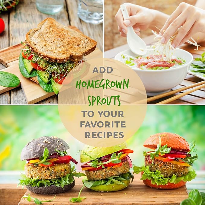 Organic Broccoli Sprouting Seeds by Handy Pantry | 8 oz. Resealable Bag | Non-GMO Broccoli Sprouts Seeds, Contains Sulforaphane