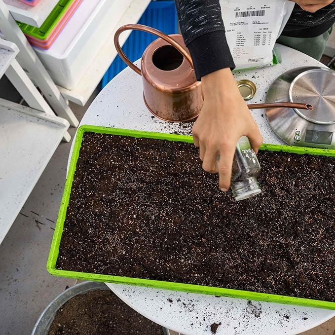 Bootstrap Farmer Microgreen 1020 Trays, Green 30 Pack, Extra Strength with Holes Shallow Seed Plant Tray Grow Microgreens Wheatgrass Fodder Sprouting