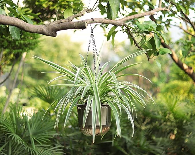Meicynhoger 2-Pack Vintage Plastic Self-Watering Hanging Planters for Spider Plant,Ivy,Monstera,African Violets - 6.5" Clear Flower Pot with Hooks for Indoor Outdoor,Table, Balcony, Wall,Garden Gray