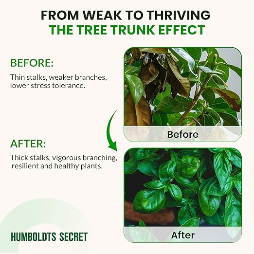 Humboldts Secret Tree Trunk | Potassium Silicate Additive | Liquid Fertilizer for Thicker Stalks, Stress Resistance & Branch Development | Indoor & Outdoor Plant Food, Hydroponic Nutrients, 5 Gallon