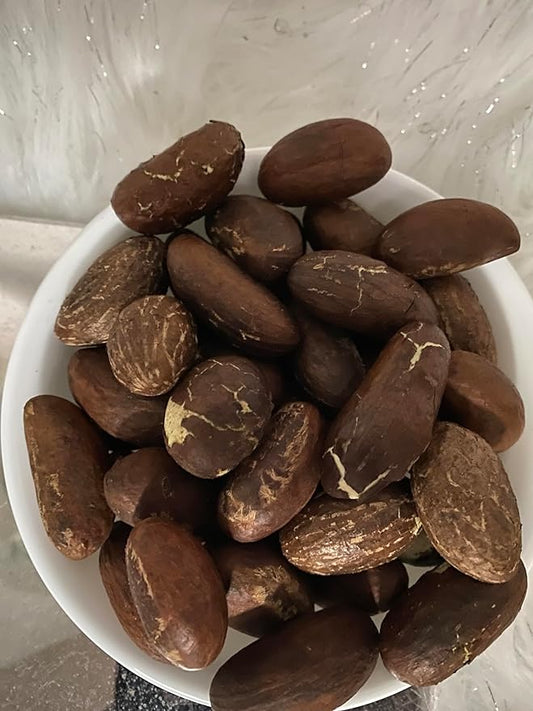 HIGHERGRADE UNLIMITED Fresh Organic Bitter Kola (Garcinia Kola from west Africa) 1LB
