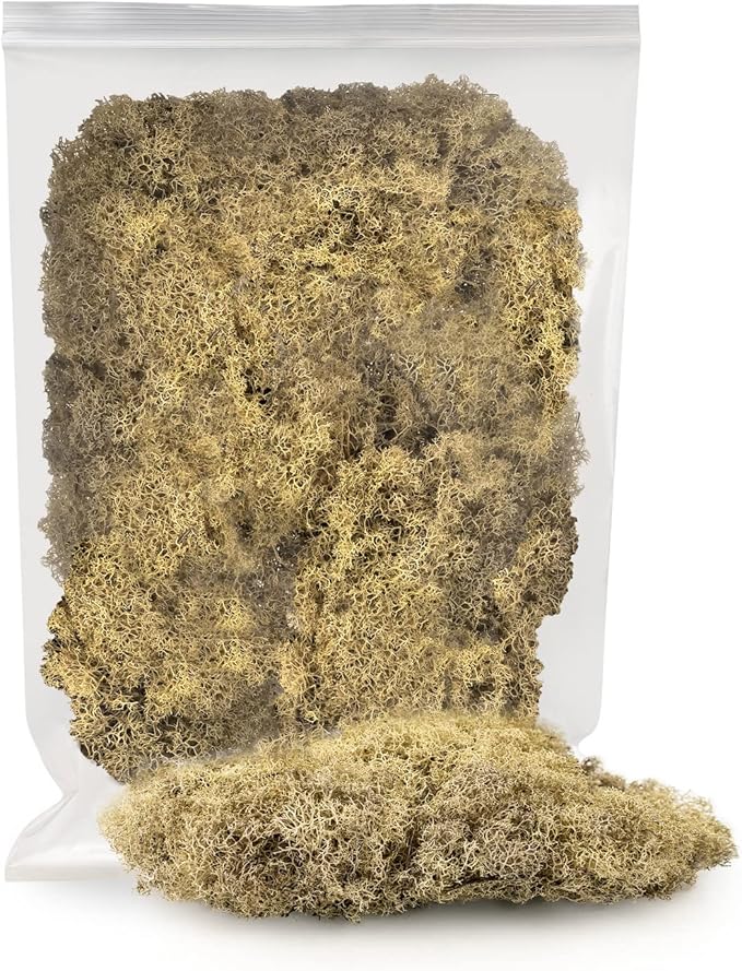 GARDENERA Premium Preserved Reindeer Moss for Potted Plants, Terrariums, Fairy Gardens, Arts and Crafts or Floral Decor Design in Natural (3 Quart Bag)