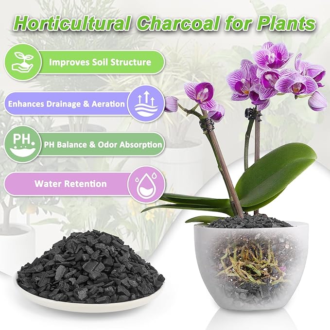 3 Quarts Horticultural Charcoal for Indoor Plants-Hardwood Potting Soil Amendment for Orchids, Succulent, Cactus, Terrariums, and Gardening