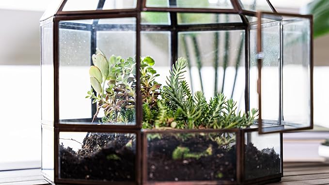 Urban Born Handmade Birdcage Style Glass Terrarium in Bronze — 10" x 9" x 9"