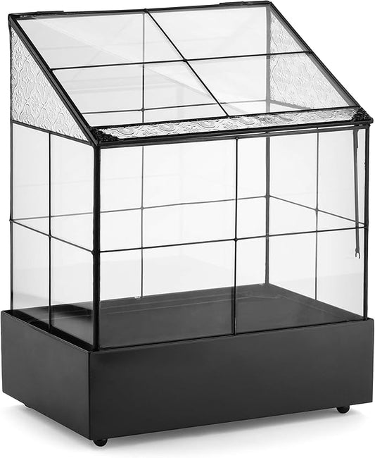 H Potter Glass Terrarium for Plants Wardian Case Succulent Planter War160