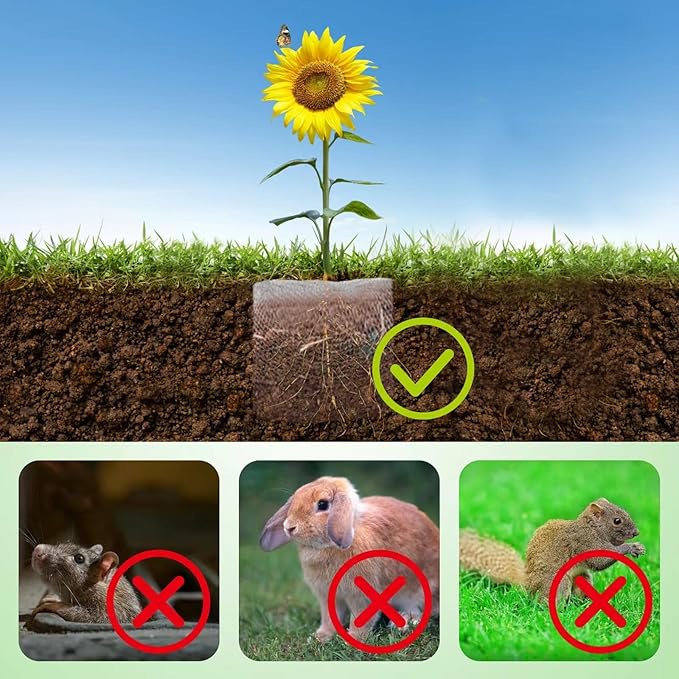10 Pcs 5 Gallon Root Guard Baskets for Plants, Underground Stainless Steel Wire Mesh Cages Gopher and Vole Wire Basket Protect The Roots of Large Plants