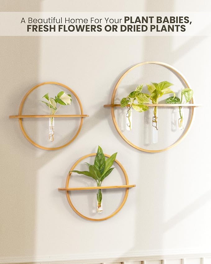 Plant Propagation Stations - Set of 3 Bamboo Wall Planters for Indoor Plants with 5 Glass Plant Propagation Tubes | Propagation Vases for Plants | Aesthetic Plant Wall Decor
