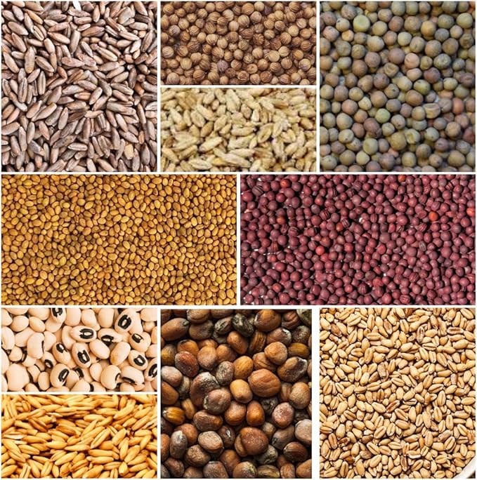 SoilBoost 10-Variety Cover Crop Blend - No-Till Seed Mix - Winter Rye, White Clover, Austrian Winter Peas, Triticale, Crimson Clover, CowPeas, Daikon Radish, Purple Turnips, Wheat, Oats, (10 Pounds)