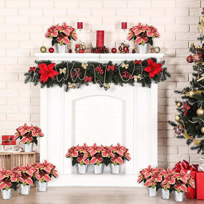 Green Circle Growers 12-Pack Live Marble Poinsettia/Cinnamon Plants in 4-Inch Grower Pots with Silver Decorative Covers – Festive Holiday Houseplants for Seasonal Home Décor & Gifting