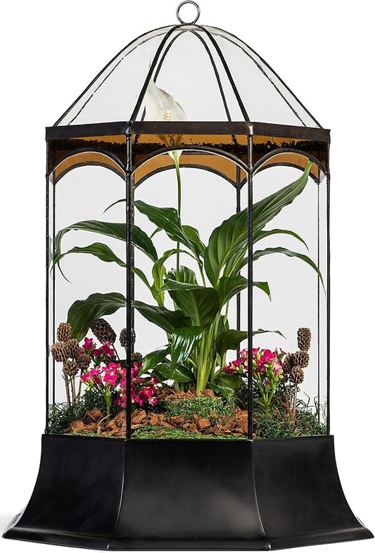 H Potter Eight Sided Terrarium Wardian Case with Curved Glass and Brown Accents Large
