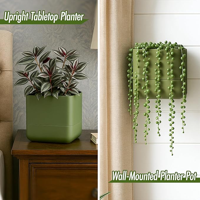 Phoenix Vine 6.5-Inch Wall Mounted Self-Watering Planter Pot for Indoor Houseplants and Herbs | Hanging Planter for Window Sills, Bathroom Walls, Home & Office Décor, Olive, Set of 2, 01-WP-C-2