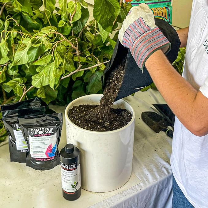 The Bud Grower | Premium 100% Organic Super Soil Concentrate | 5 lbs of Premium Soil Concentrate & Rapid Rooters | All-in-One Soil Amendment