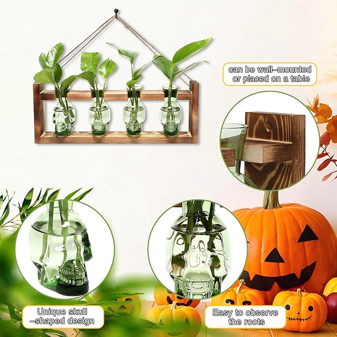 Plant Propagation Stations Halloween Skull Plant Terrarium Kit Glass Vases Gift for Father Air Planter Home Office Decor