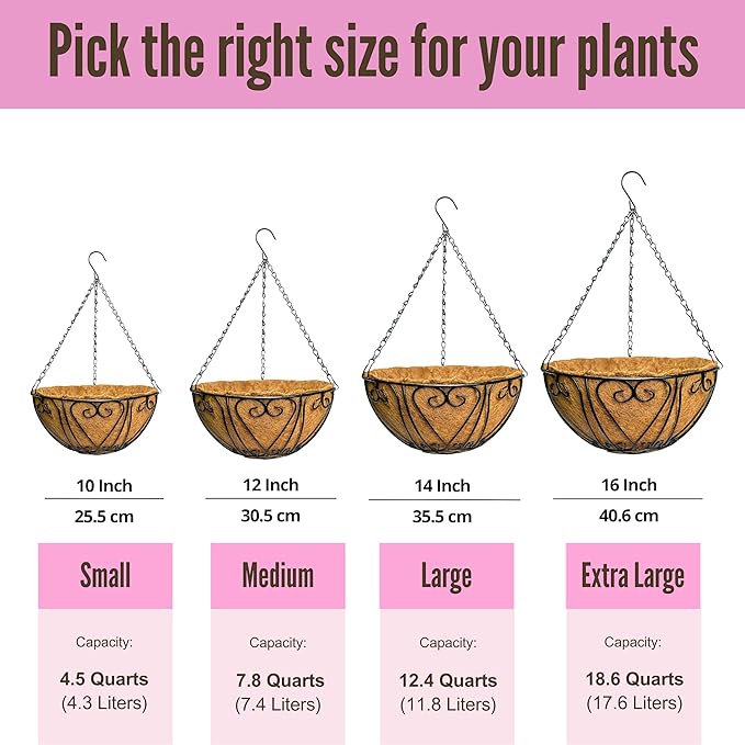 LaLaGreen Hanging Baskets for Plants (16 Inch, 6 Pack) Extra Large Hanging Flower Pot with Coco Liner Black Metal Wire Round Plant Holder with Hanger Hook Chain Outdoor Patio Deck Balcony Garden Decor